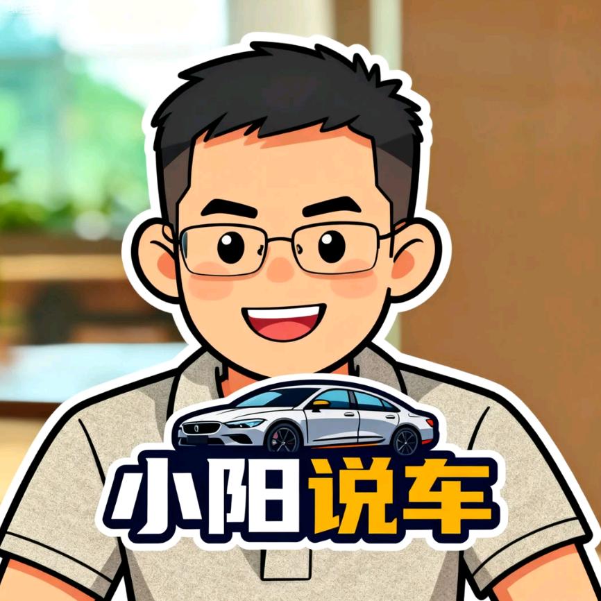 小阳说车