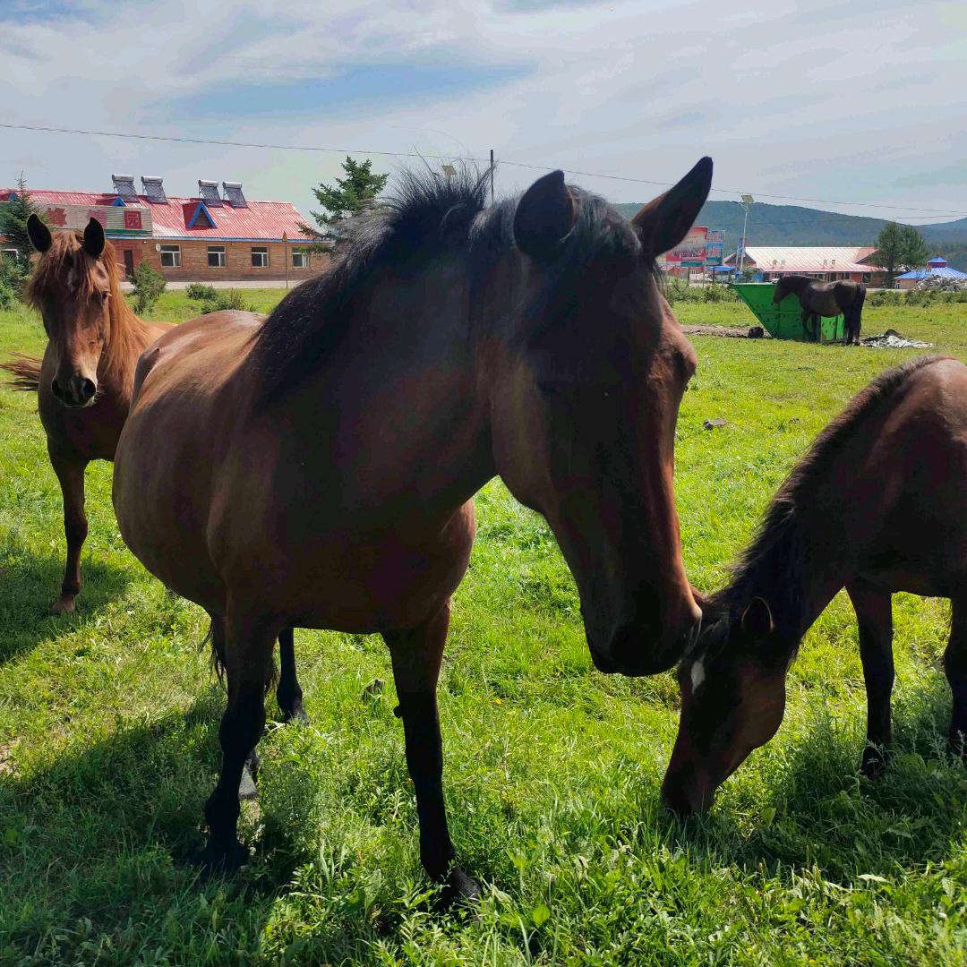 @一个人的奋斗👊👊👊