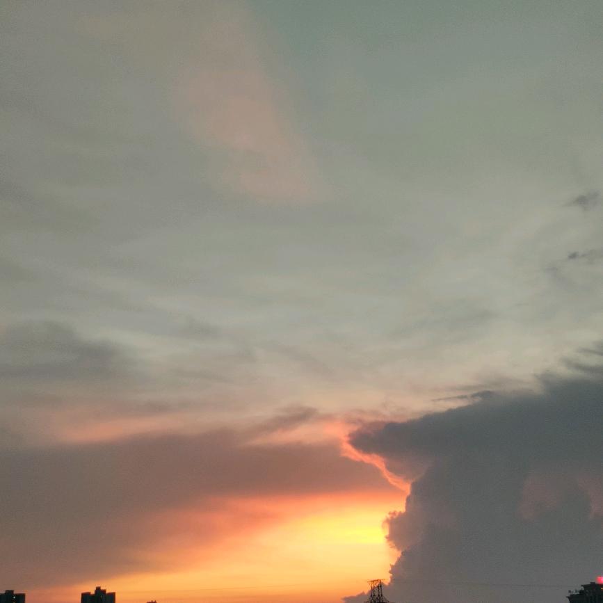 达丽