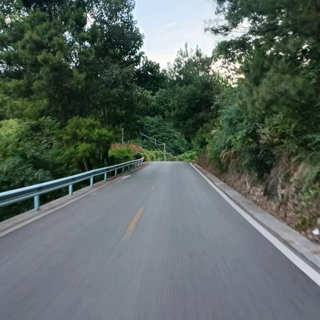 人生得意须尽欢