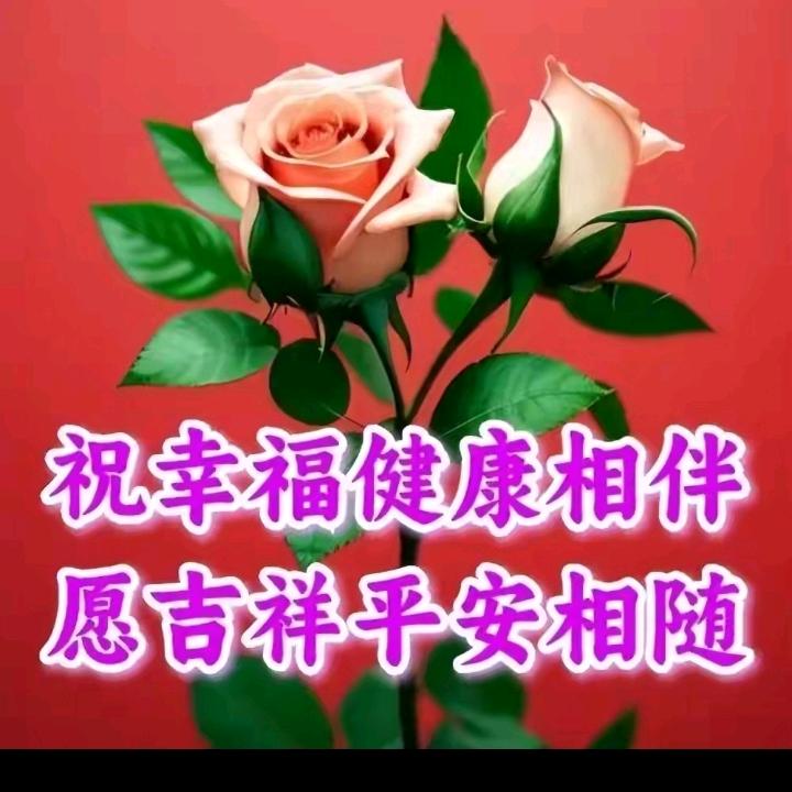 三月春天3月十九
