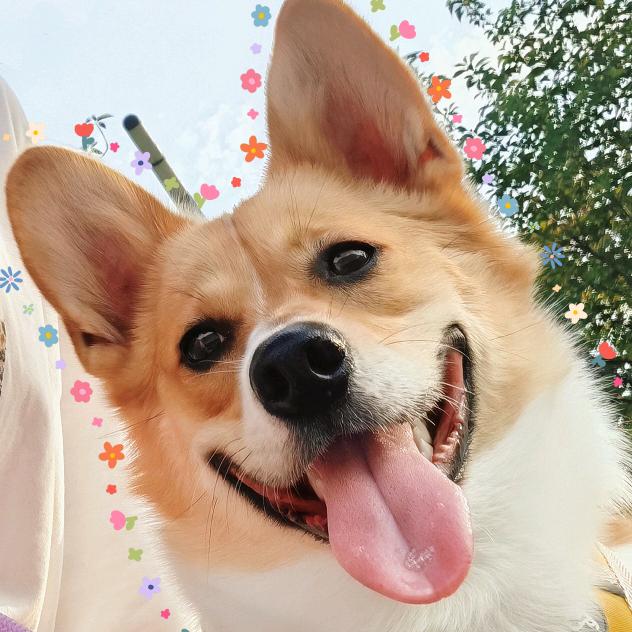 花花图图Ww🍋🍉.