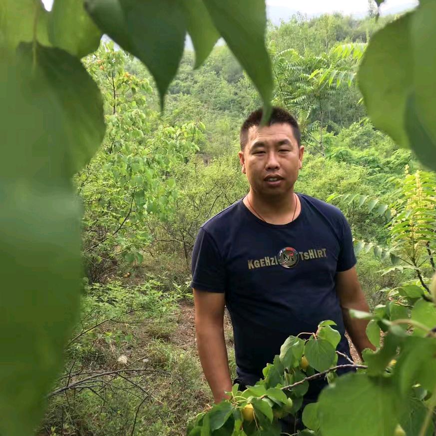 钢筋网架陈胜强