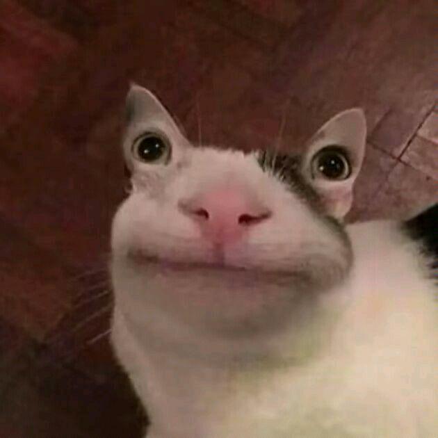 这根本就不是个正常的名字！！！