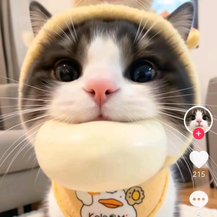 美呀