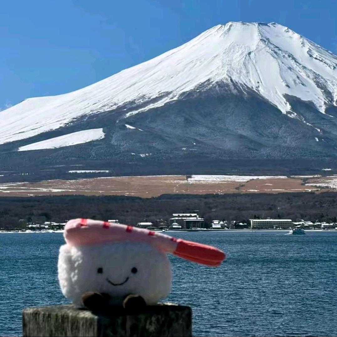 树先生