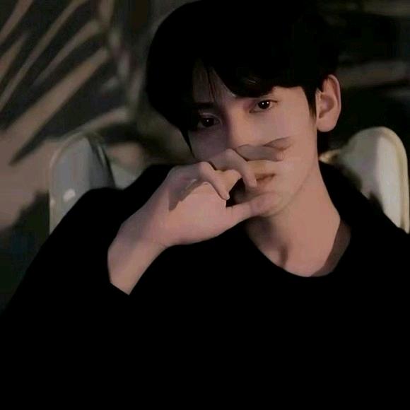 家装顾问张先生