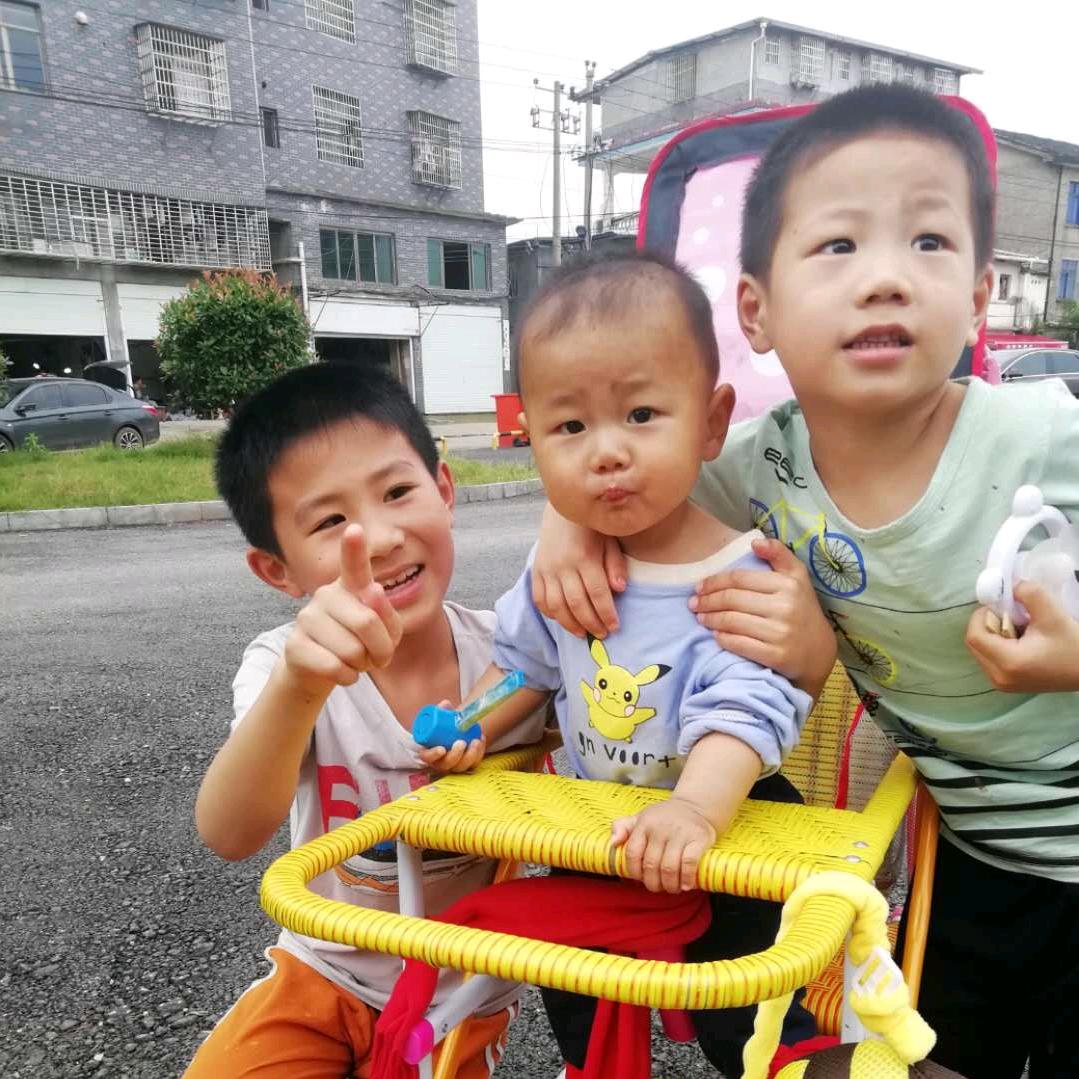 杨志辉