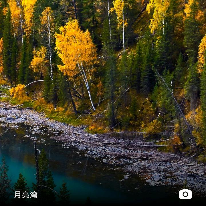 魏老先生