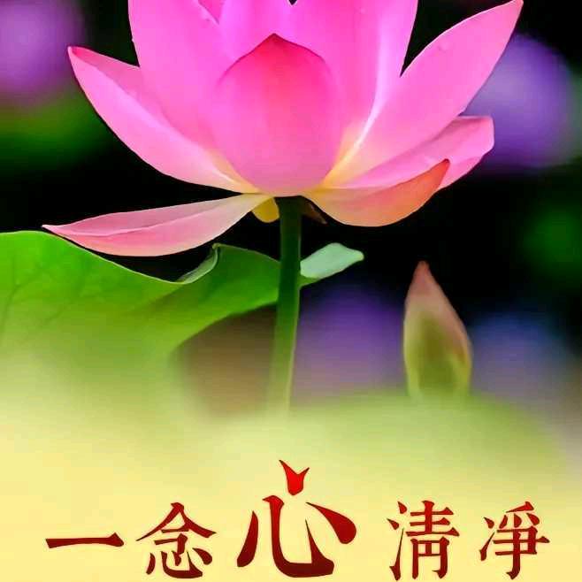 友谊