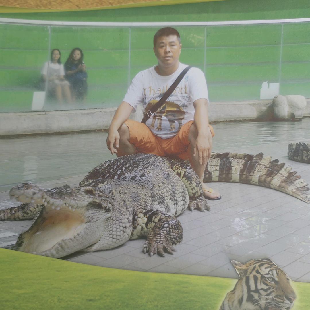 小马哥，