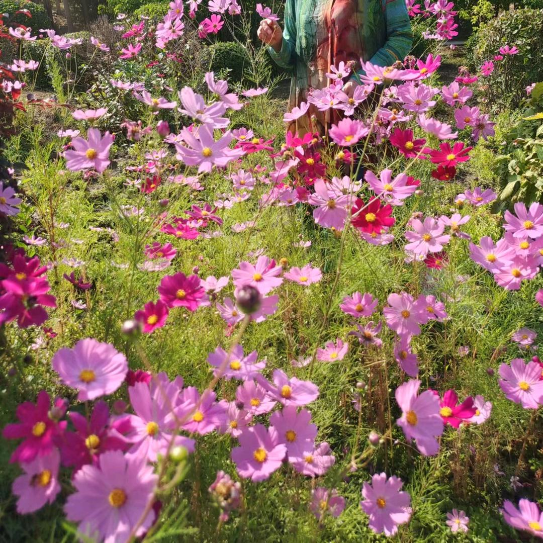 草原骏马（拒私聊，谢关注）