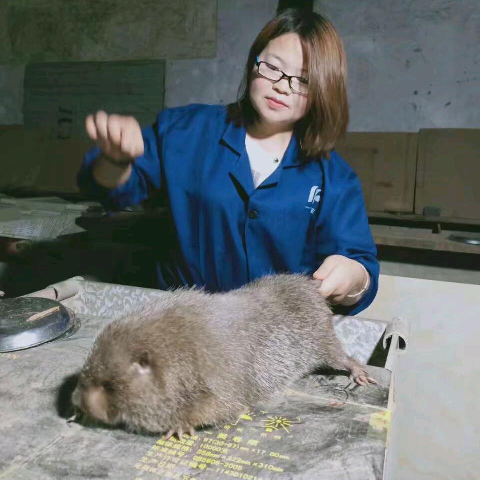 大虫～贵州竹鼠