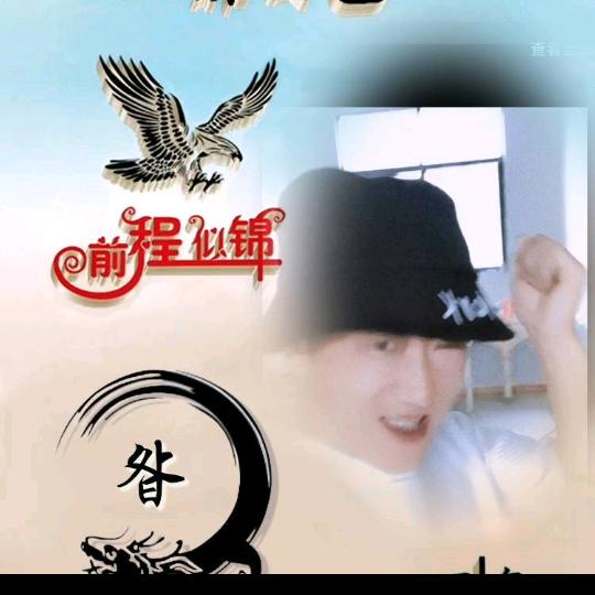 无敌雪狼