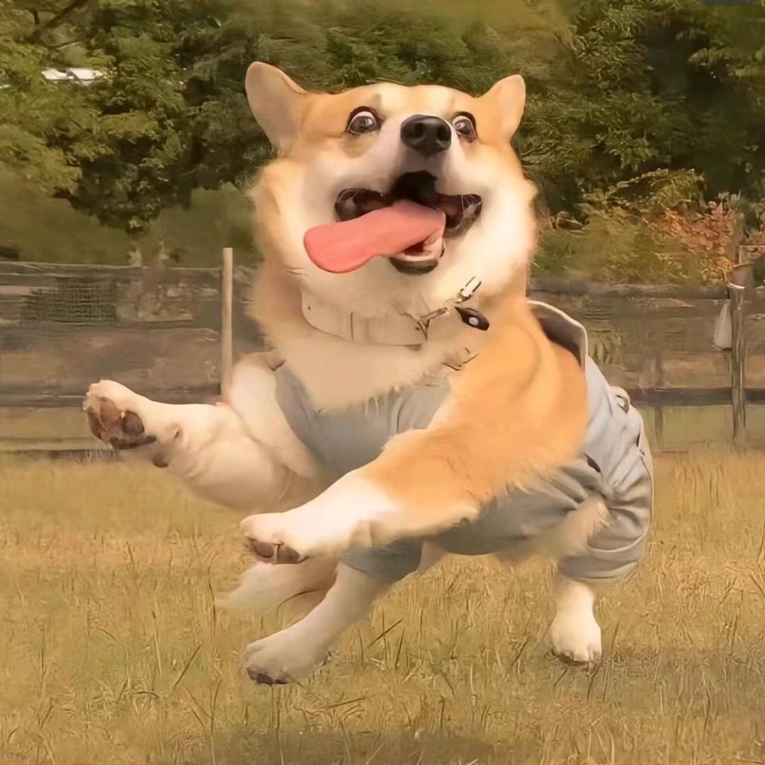 解忧公社