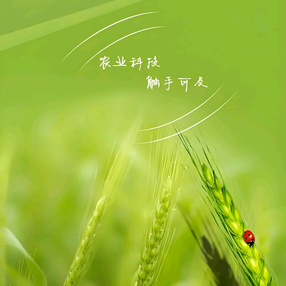 山禾农资