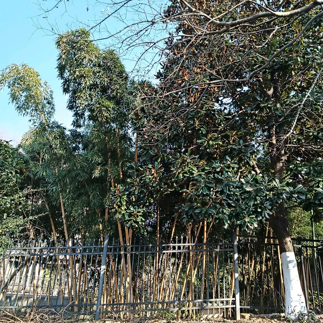 相敬如宾