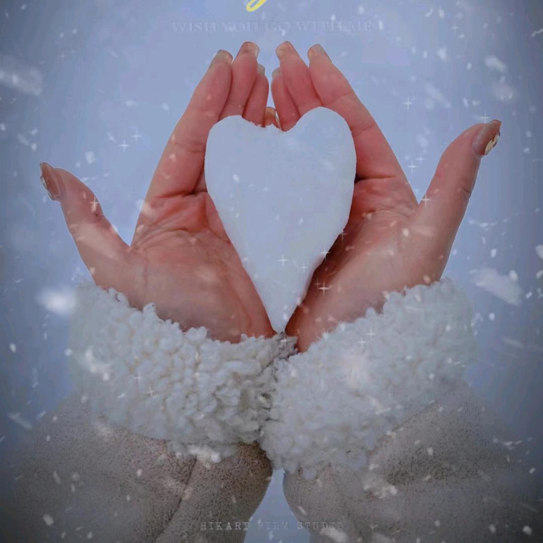 ℳ *全糖去冰ℳ