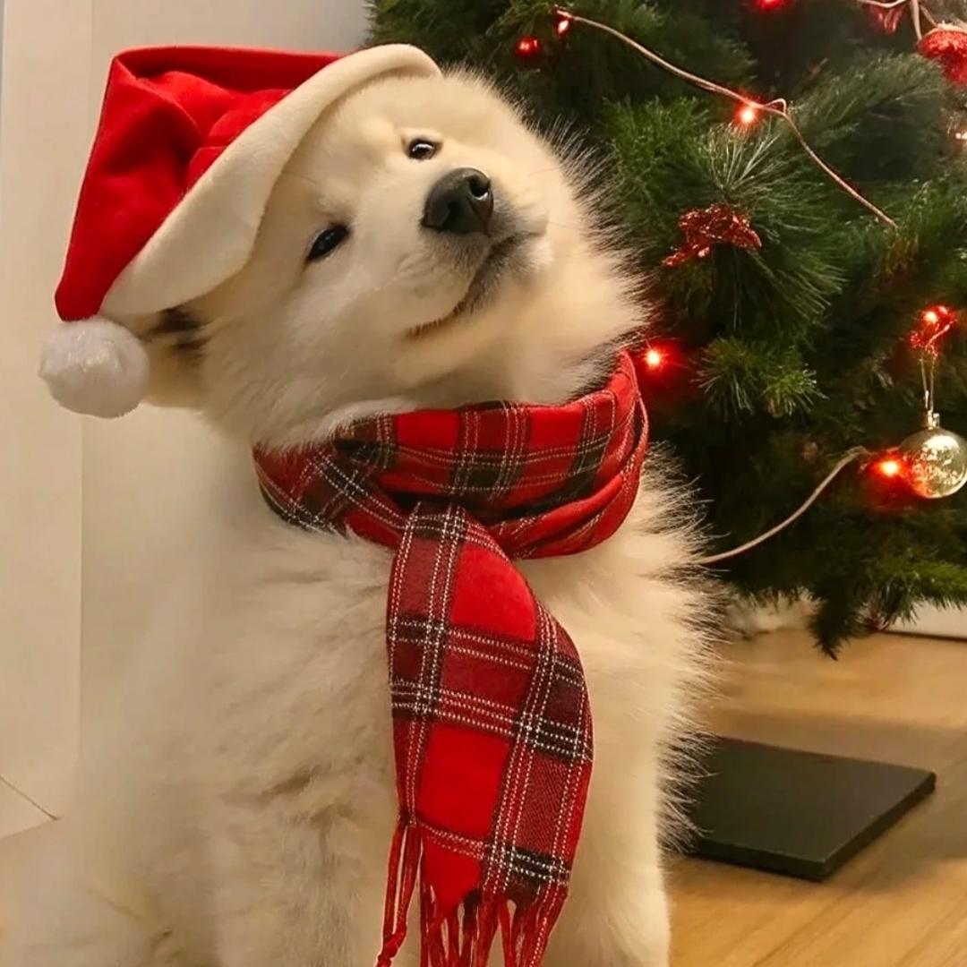 我以后再也不防了