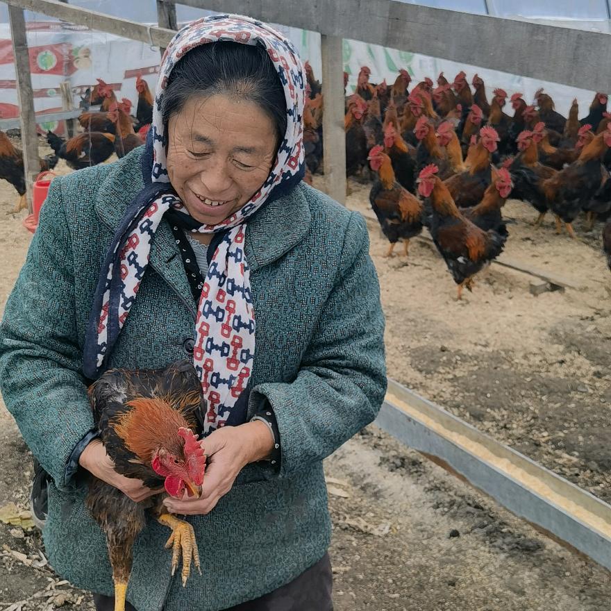 小李子东北特产