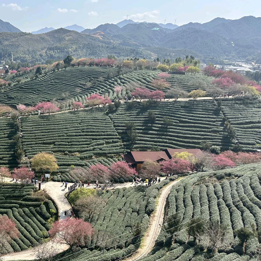 阿丽生活