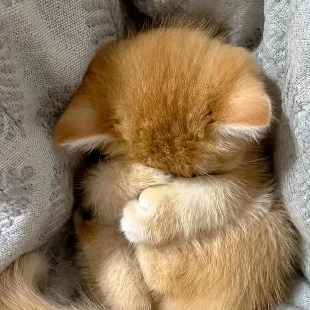 楠𝕊𝕖𝕧𝕖𝕟.