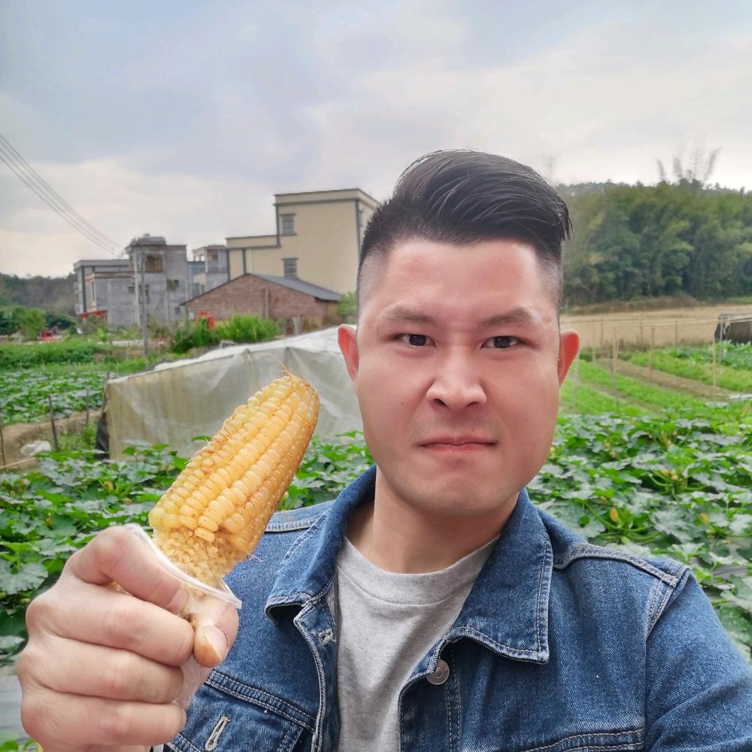 Y f 文