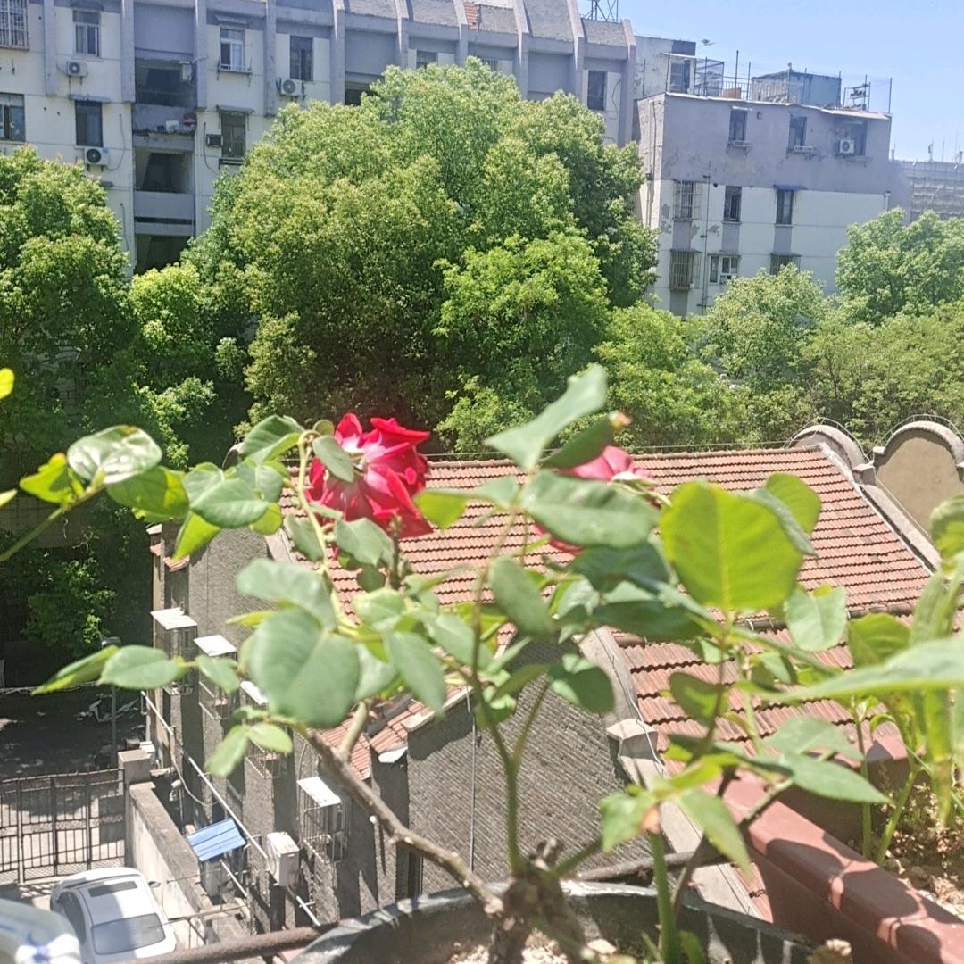 陌生的等待