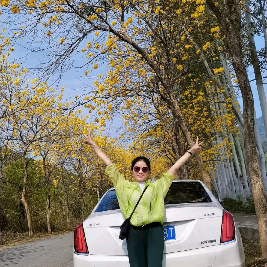 静好