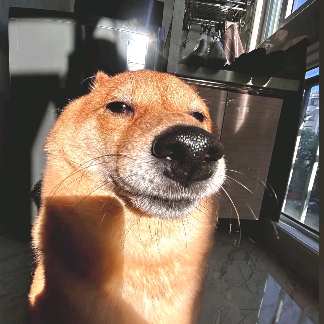 宇宙里の一只鱼