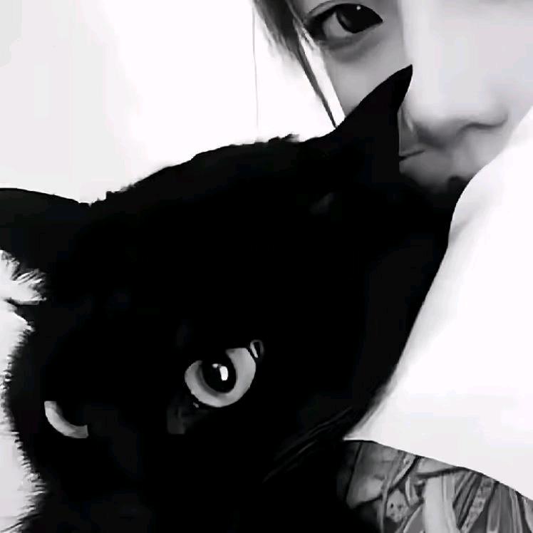 当年那把刀.