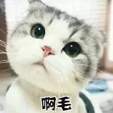 其实幸福很简单