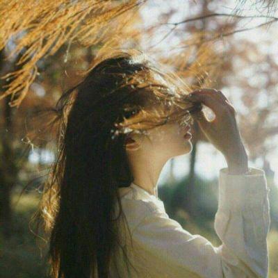 逍遥竹