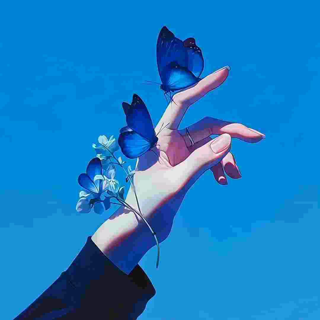 橄榄树