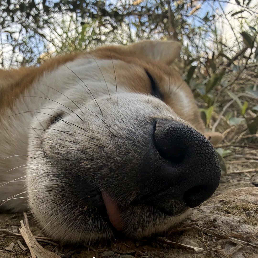 我不开心就去钓鱼🎣