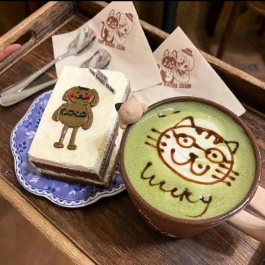 盲茶喵