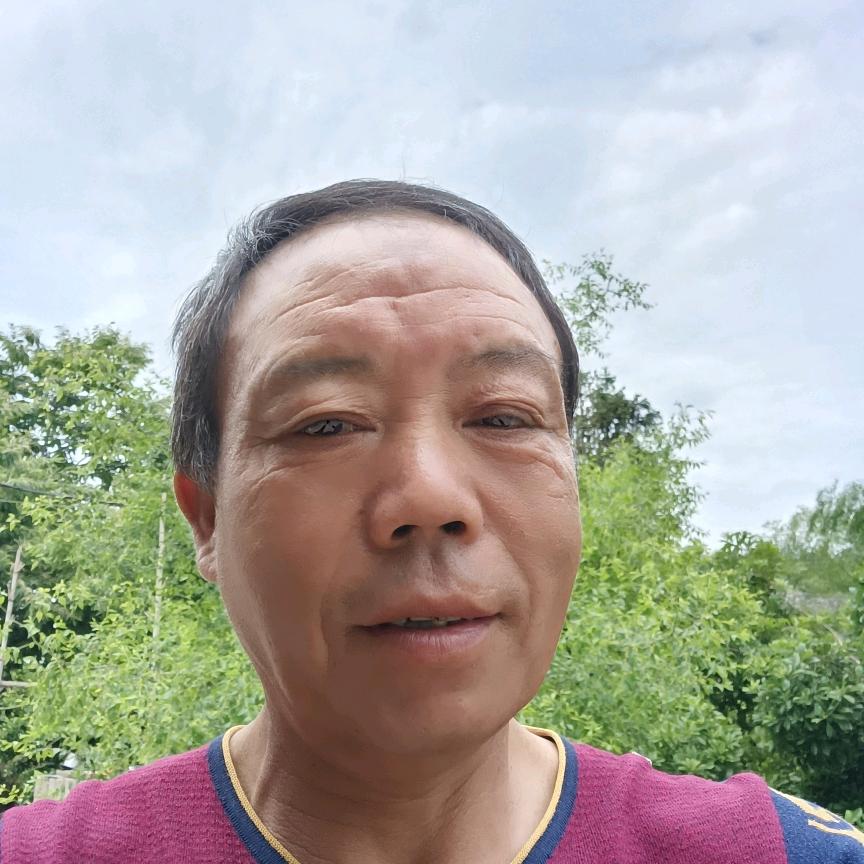 小龙