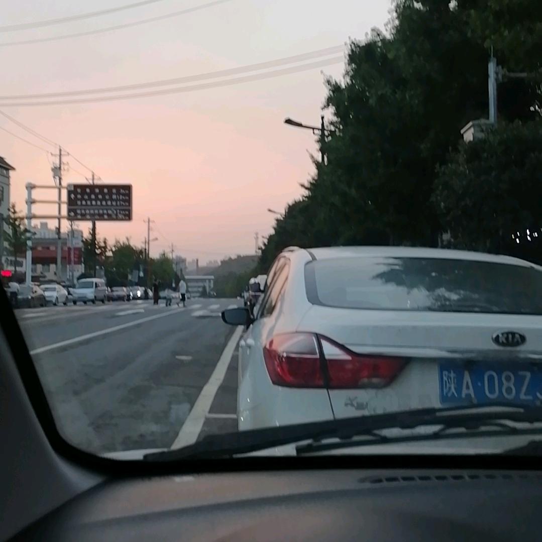 龙游天下。
