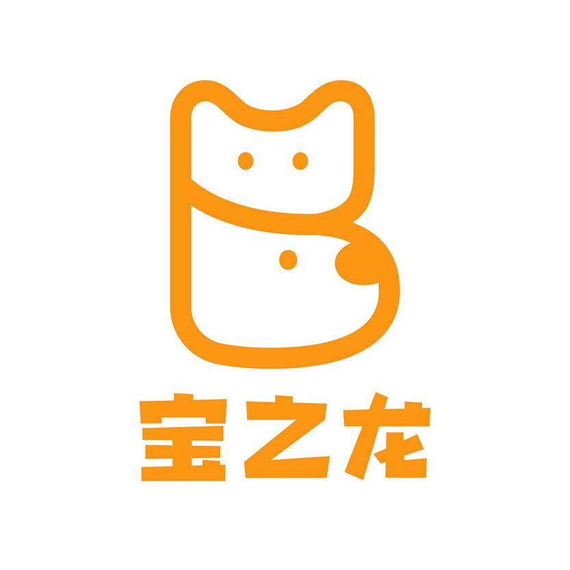 宝之龙直播号