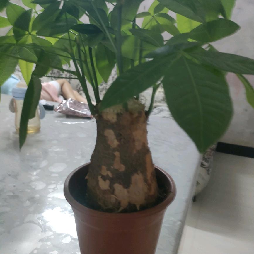从新来过