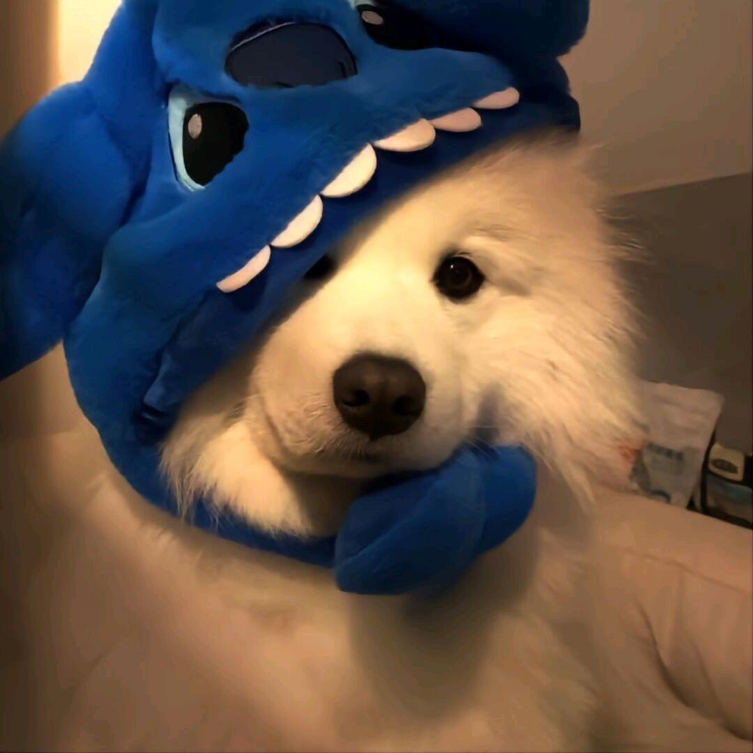 畅