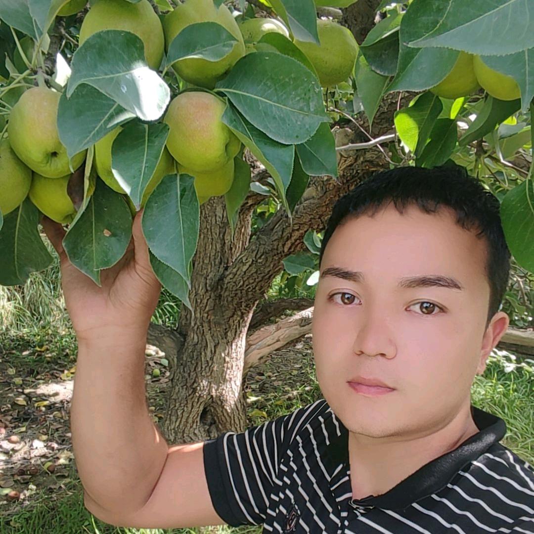 新疆果农艾力小号