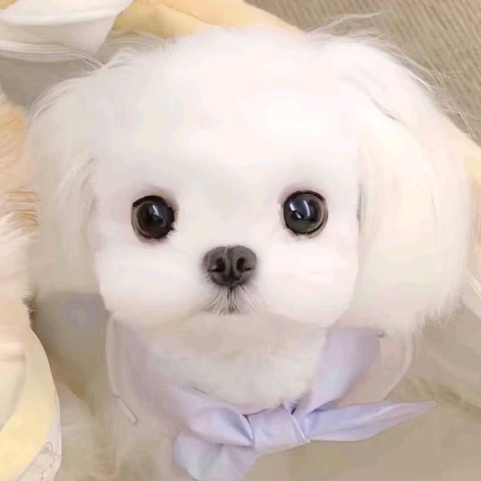小彤健康无虞