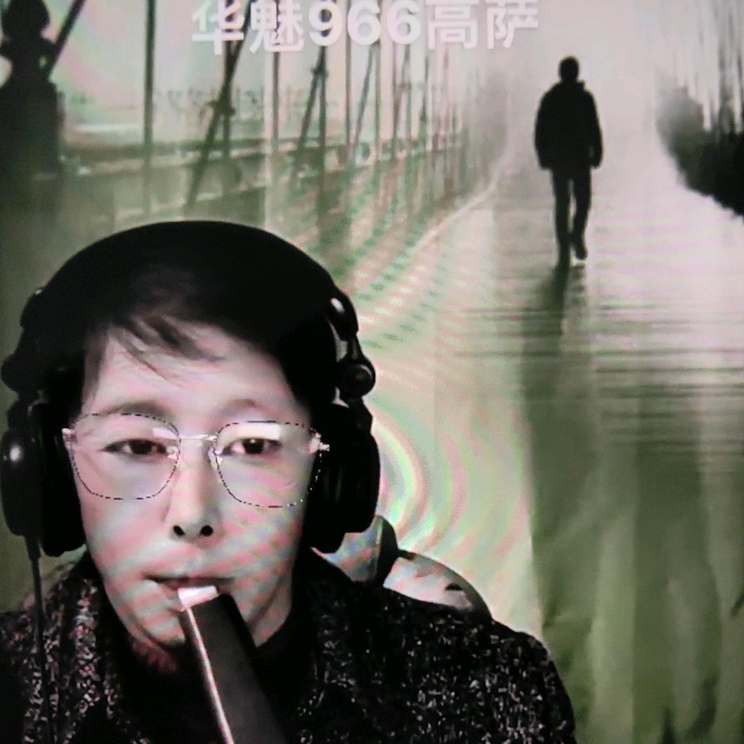 宝女木木