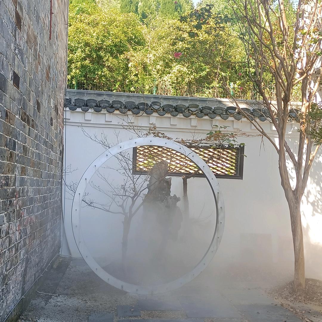 姣