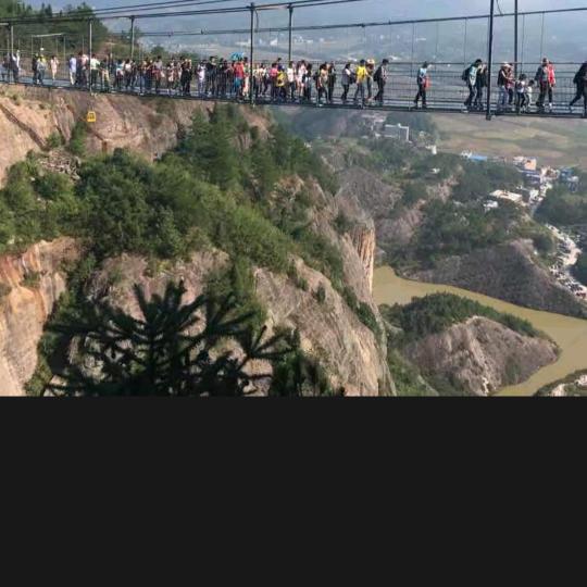 一切随缘沉默是金