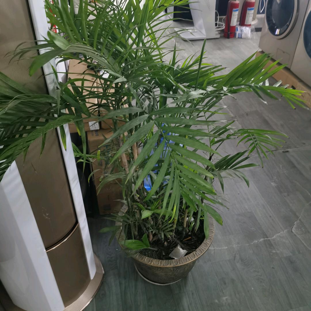 郓城盈怡家电有限公司