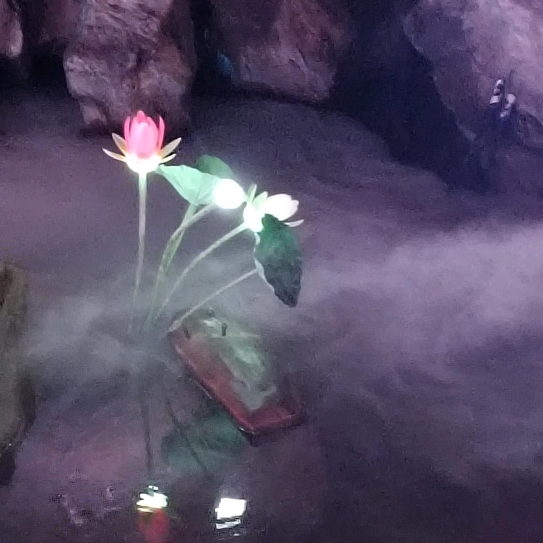 幸福🌻