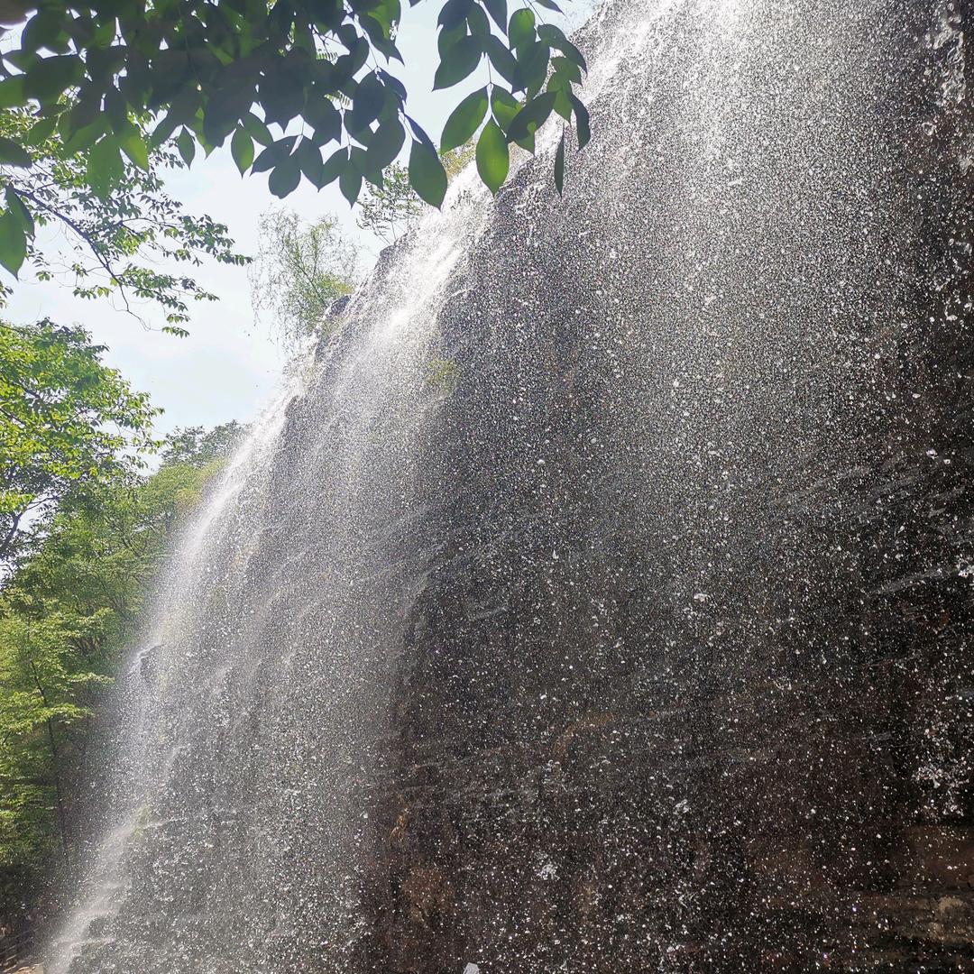 爱诗和远方的张军