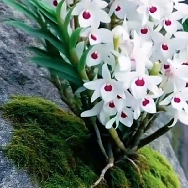 愿我们各自安好